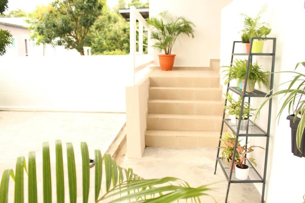 New Seaview Cozy Modern Beach House Tanjung Bungah  Exterior photo